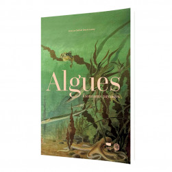 Algues - Etonnants paysages