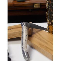 Couteau pliant avec manche « coquilles d'huitre »