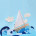Bateau de bain - nature
