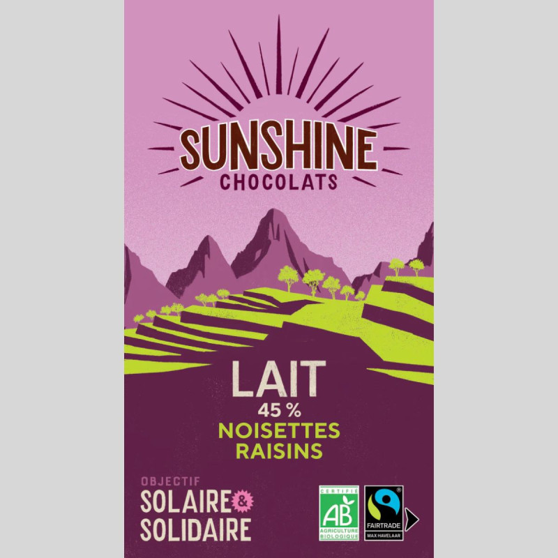 Tablette de chocolat au lait, noisettes, raisins Tablette de chocolat au lait, noisettes, raisins